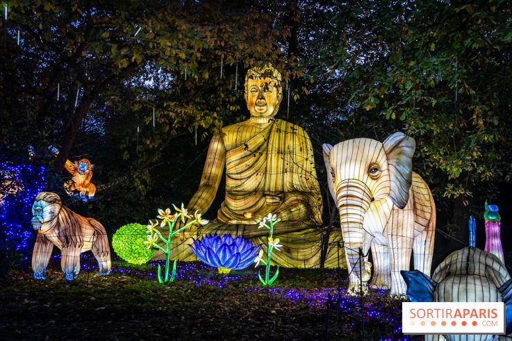 Thoiry Lumières Sauvages 2025 : le Bal des Esprits - A7C09487