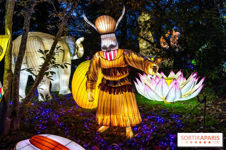 Thoiry Lumières Sauvages 2025 : le Bal des Esprits - A7C09489