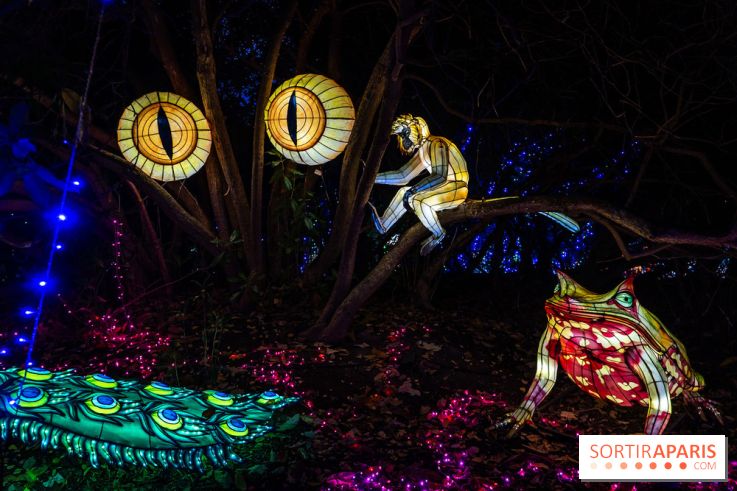 Thoiry Lumières Sauvages 2025 : le Bal des Esprits