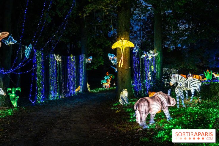 Thoiry Lumières Sauvages 2025 : le Bal des Esprits - A7C09500