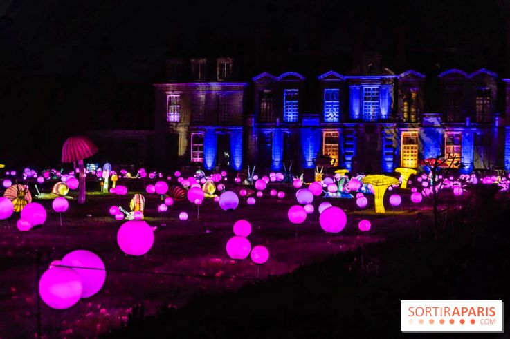 Thoiry Lumières Sauvages 2025 : le Bal des Esprits - A7C09531