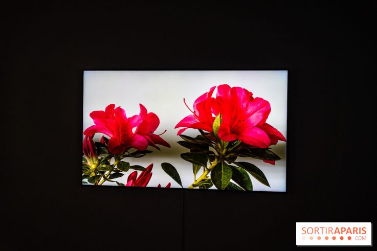 Exposition 'Couleurs de Corée, Lumière sur l’art contemporain coréen' au Centre Culturel Coréen - les photos - A7C09797