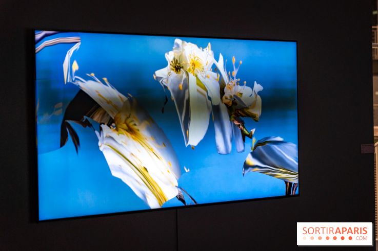 Exposition 'Couleurs de Corée, Lumière sur l’art contemporain coréen' au Centre Culturel Coréen - les photos - A7C09798