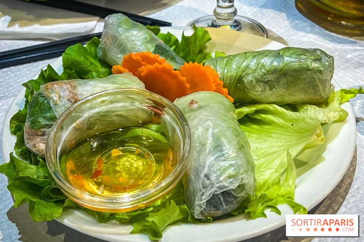 Le Bambou restaurant vietnamien Paris 13e - photos - rouleaux de printemps