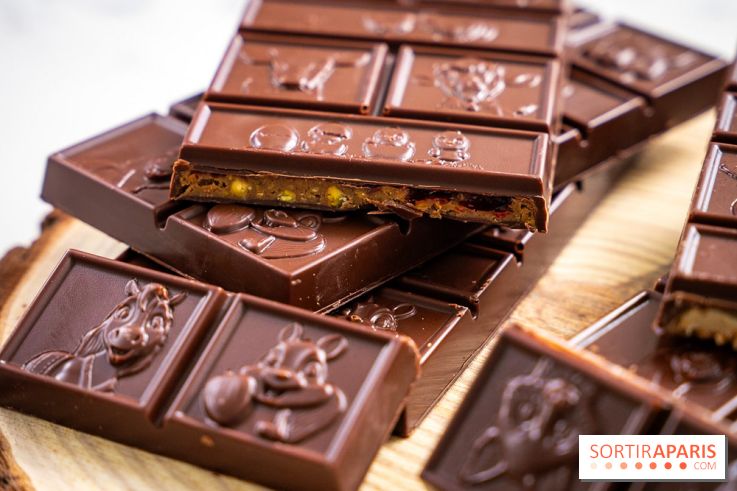 Les Bûches de Noël de Pleincœur par Maxime Frédéric 2025 et ses créations de fêtes - A7C07679