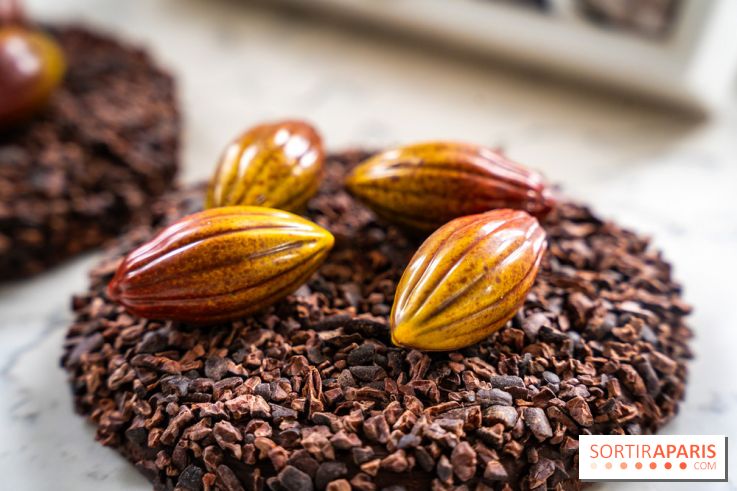 Les Bûches de Noël de Pleincœur par Maxime Frédéric 2025 et ses créations de fêtes - A7C07681