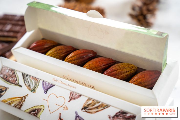 Les Bûches de Noël de Pleincœur par Maxime Frédéric 2025 et ses créations de fêtes - A7C07682