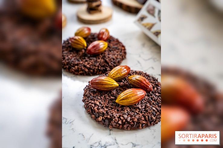 Les Bûches de Noël de Pleincœur par Maxime Frédéric 2025 et ses créations de fêtes - A7C07683