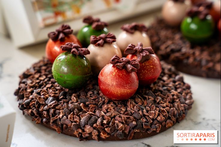 Les Bûches de Noël de Pleincœur par Maxime Frédéric 2025 et ses créations de fêtes - A7C07684