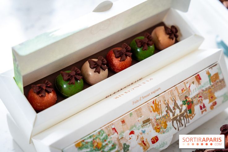 Les Bûches de Noël de Pleincœur par Maxime Frédéric 2025 et ses créations de fêtes - A7C07685