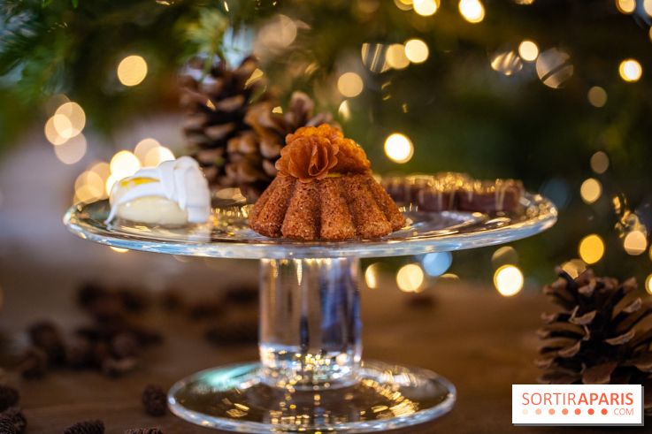 La Bûche de Noël du Péninsula 2025 : Joyaux des Pins - A7C07903