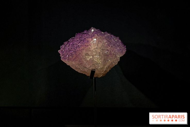 Rêveries de pierres : l'exposition rétrospective gratuite à l'Ecole des Arts Joailliers - IMG 0016