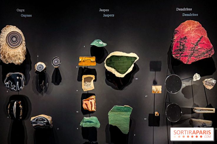 Rêveries de pierres : l'exposition rétrospective gratuite à l'Ecole des Arts Joailliers