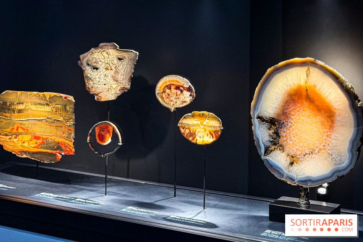 Rêveries de pierres : l'exposition rétrospective gratuite à l'Ecole des Arts Joailliers