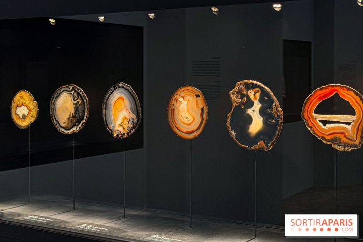 Rêveries de pierres : l'exposition rétrospective gratuite à l'Ecole des Arts Joailliers