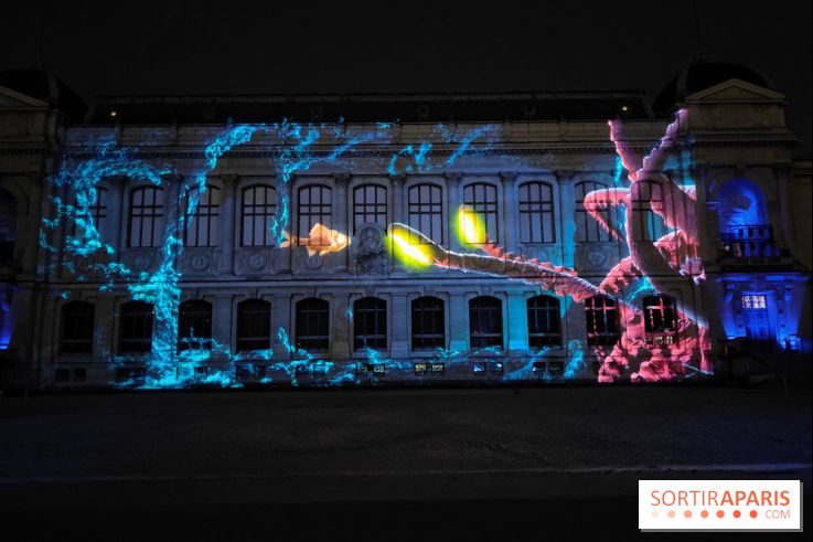 En voie d'illumination : Lumières de la nature : le festival nocturne hivernal du Jardin des Plantes - fotor 1762431466628