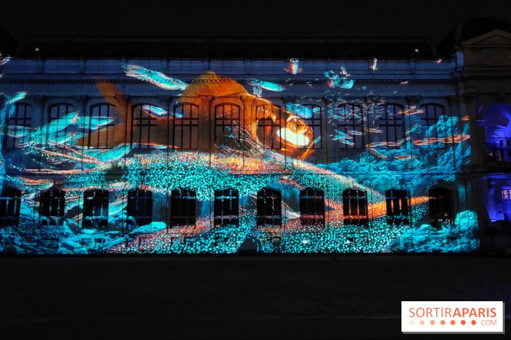 En voie d'illumination : Lumières de la nature : le festival nocturne hivernal du Jardin des Plantes - fotor 1762431479559