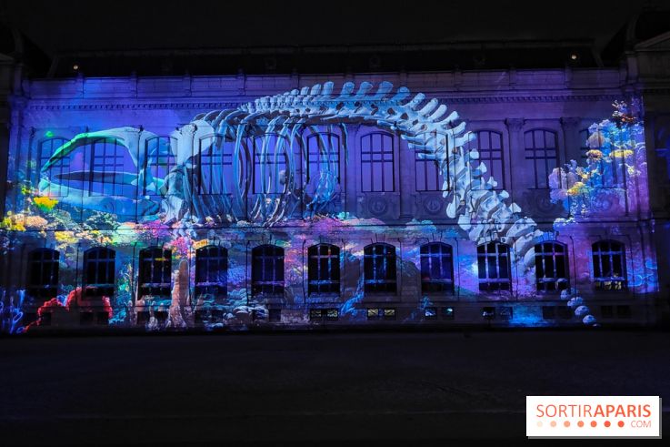 En voie d'illumination : Lumières de la nature : le festival nocturne hivernal du Jardin des Plantes - fotor 1762431492963