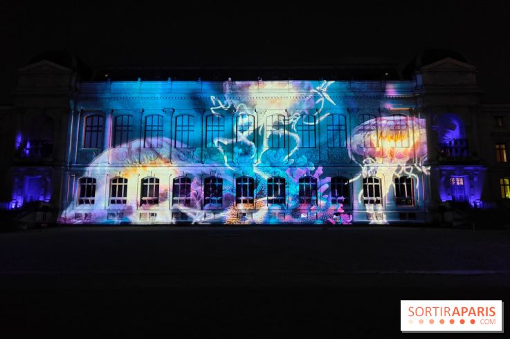 En voie d'illumination : Lumières de la nature : le festival nocturne hivernal du Jardin des Plantes - fotor 1762431514038