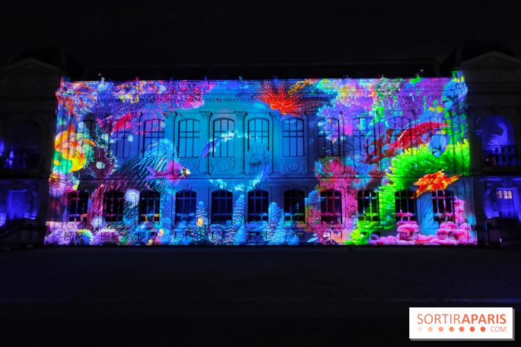 En voie d'illumination : Lumières de la nature : le festival nocturne hivernal du Jardin des Plantes - fotor 1762431537905