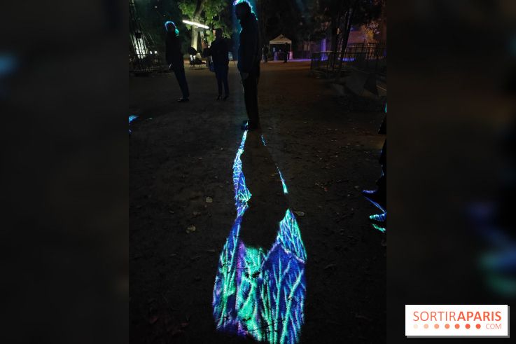 En voie d'illumination : Lumières de la nature : le festival nocturne hivernal du Jardin des Plantes - fotor 1762431261369