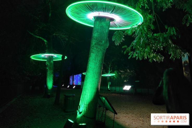 En voie d'illumination : Lumières de la nature : le festival nocturne hivernal du Jardin des Plantes - fotor 1762431293928