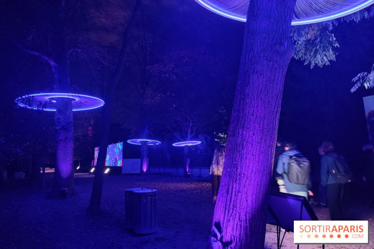 En voie d'illumination : Lumières de la nature : le festival nocturne hivernal du Jardin des Plantes - fotor 1762431317069