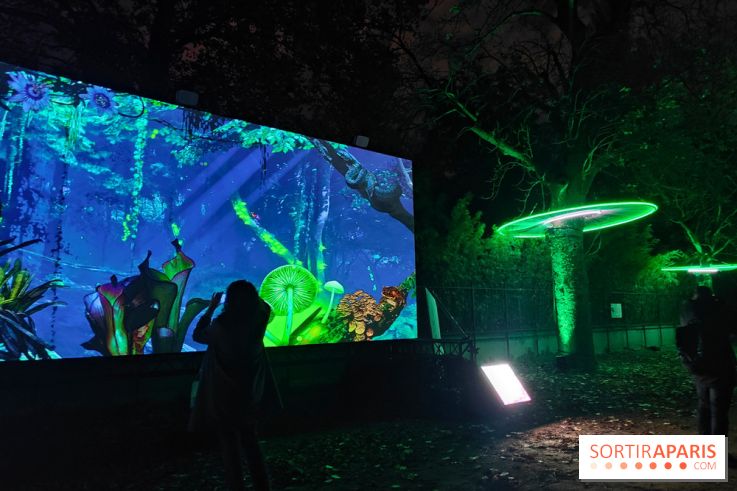 En voie d'illumination : Lumières de la nature : le festival nocturne hivernal du Jardin des Plantes - fotor 1762431340382