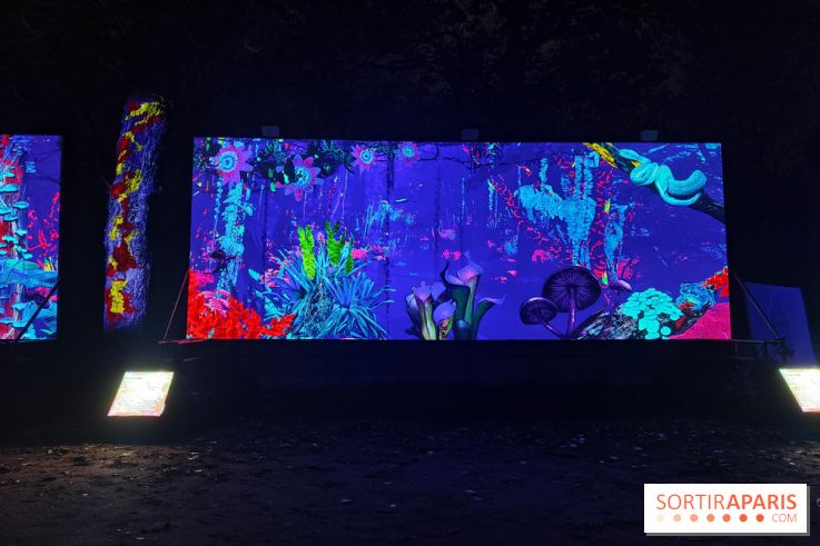 En voie d'illumination : Lumières de la nature : le festival nocturne hivernal du Jardin des Plantes - fotor 1762431355748