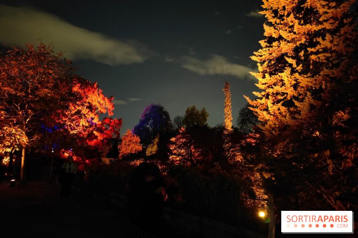En voie d'illumination : Lumières de la nature : le festival nocturne hivernal du Jardin des Plantes - fotor 1762431370942