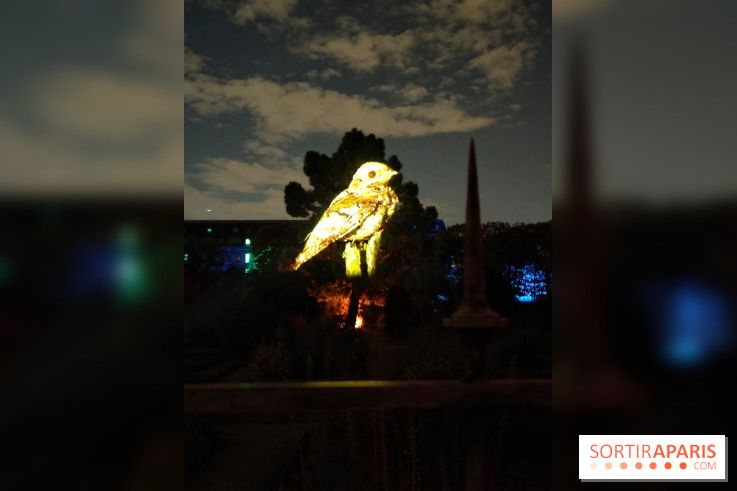 En voie d'illumination : Lumières de la nature : le festival nocturne hivernal du Jardin des Plantes - fotor 1762431389482