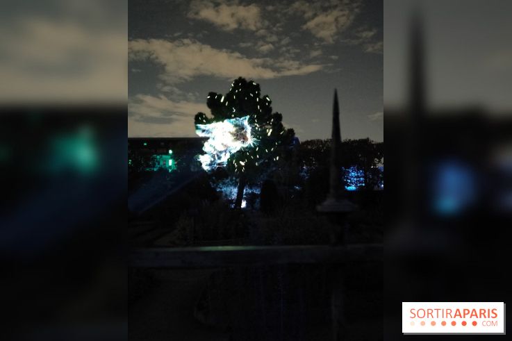 En voie d'illumination : Lumières de la nature : le festival nocturne hivernal du Jardin des Plantes - fotor 1762431417421