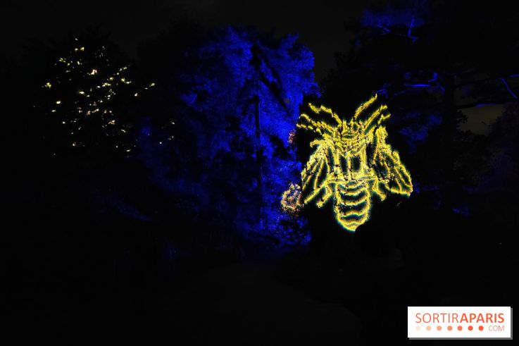 En voie d'illumination : Lumières de la nature : le festival nocturne hivernal du Jardin des Plantes - fotor 1762431441677