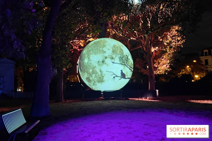 En voie d'illumination : Lumières de la nature : le festival nocturne hivernal du Jardin des Plantes - fotor 1762431759366