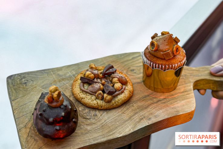 Noël 2025 au Printemps Haussmann : une patinoire gratuite au sommet du grand magasin - IMG 0275