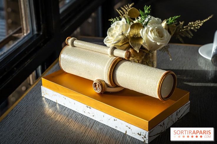 Bûche de Noël du Jules Verne : Voyage Extraordinaire - A7C09595