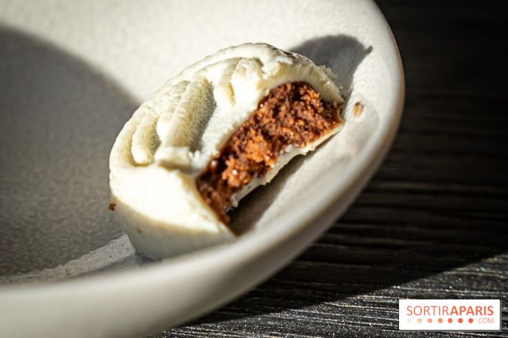 Bûche de Noël du Jules Verne : Voyage Extraordinaire - A7C09623