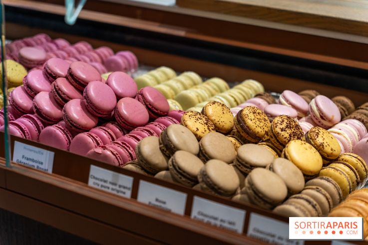 Bûches de Noël du jardin Sucré 2025 - A7C09337