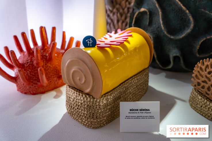 Bûches de Noël et créations de fête 2025 de Pierre Hermé : les Abysses