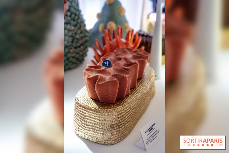 Bûches de Noël et créations de fête 2025 de Pierre Hermé : les Abysses