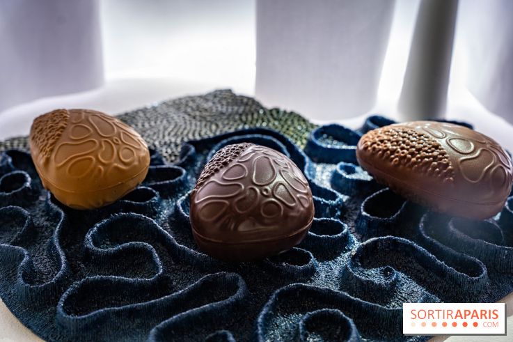 Bûches de Noël et créations de fête 2025 de Pierre Hermé : les Abysses - A7C07844