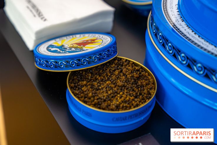 Bûche de Noël Opéra Garnier de la Maison du Chocolat 2025 - photos - A7C07788