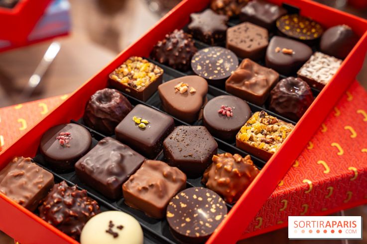 Bûche de Noël et créations de fête de Chapon 2025 - A7C07441