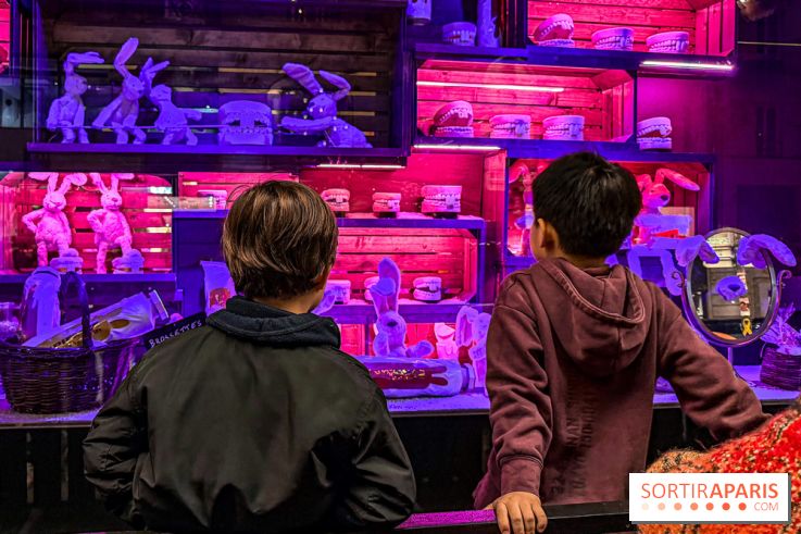 Les vitrines de Noël 2025 du Bon Marché : le grand magasin se métamorphose en (Bon) Marché de Noël - IMG 0675