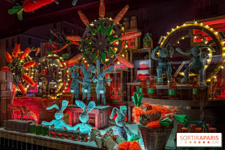 Les vitrines de Noël 2025 du Bon Marché : le grand magasin se métamorphose en (Bon) Marché de Noël - IMG 0715