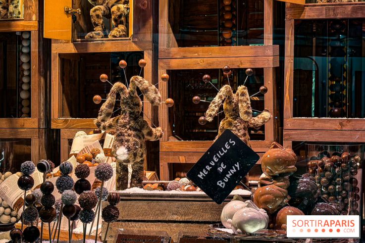 Les vitrines de Noël 2025 du Bon Marché : le grand magasin se métamorphose en (Bon) Marché de Noël - IMG 0726