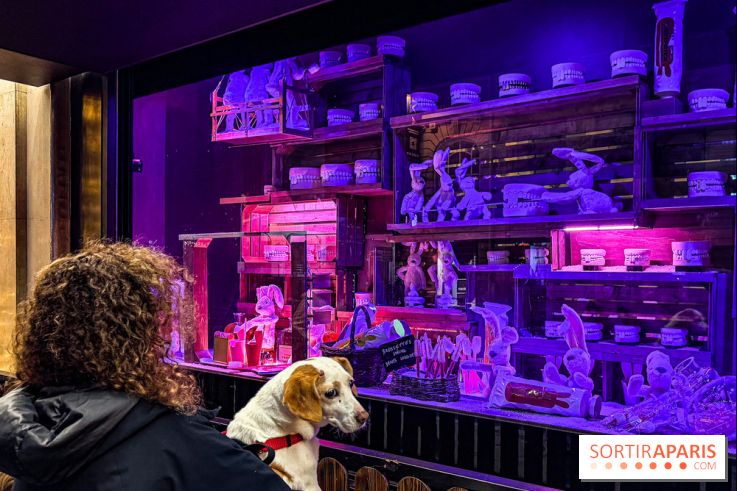 Les vitrines de Noël 2025 du Bon Marché : le grand magasin se métamorphose en (Bon) Marché de Noël