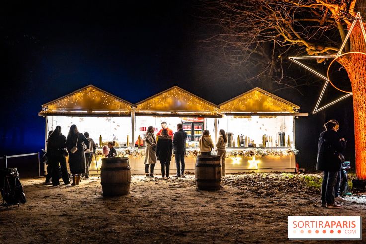 Lumières en Seine 2025, les photos du parcours de lumières - A7C00357