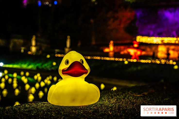 Lumières en Seine 2025, les photos du parcours de lumières - A7C00381