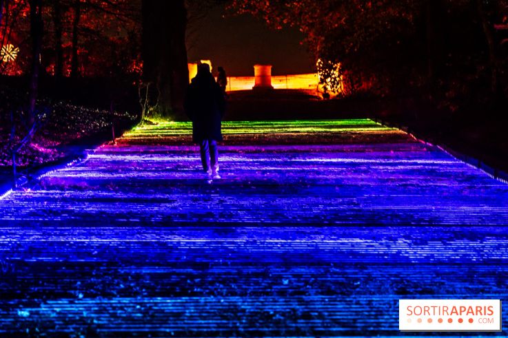 Lumières en Seine 2025, les photos du parcours de lumières - A7C00386